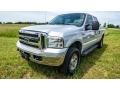 2006 Dark Stone Metallic Ford F250 Super Duty XLT Crew Cab 4x4  photo #8