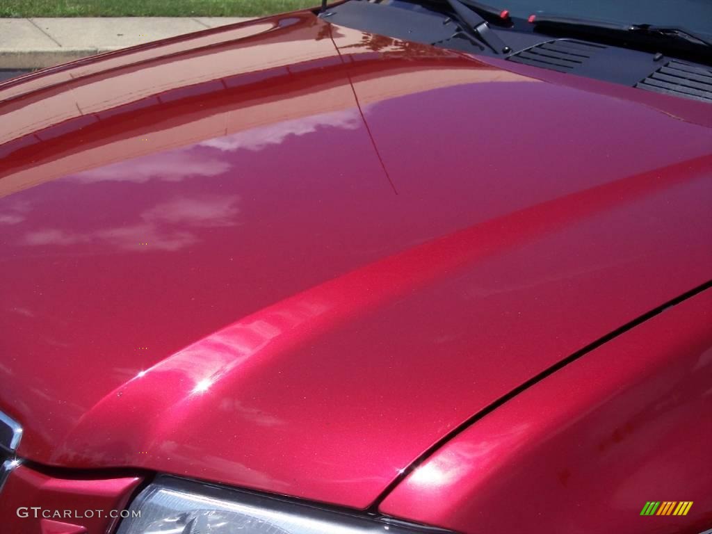 2004 Envoy XUV SLT 4x4 - Magnetic Red Metallic / Dark Pewter photo #16