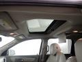 Champagne Silver Metallic - Traverse LTZ AWD Photo No. 6