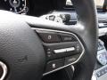 Steel Graphite - Palisade Limited AWD Photo No. 29