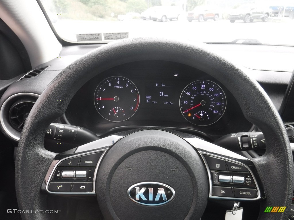 2019 Forte LXS - Gravity Grey / Black photo #22
