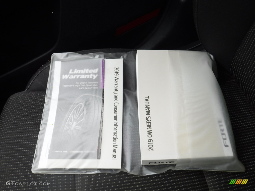 2019 Forte LXS - Gravity Grey / Black photo #28