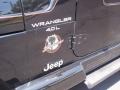 1999 Black Jeep Wrangler Sahara 4x4  photo #13