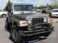 2003 Light Khaki Metallic Jeep Wrangler Sahara 4x4  photo #4