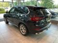 Black Sapphire Metallic - X5 xDrive40i Photo No. 2