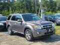 Sterling Grey Metallic 2010 Ford Escape XLT V6