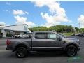 Carbonized Gray Metallic - F150 XLT SuperCrew 4x4 Photo No. 6