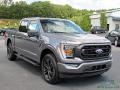 Carbonized Gray Metallic - F150 XLT SuperCrew 4x4 Photo No. 7