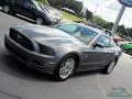 Sterling Gray - Mustang V6 Premium Coupe Photo No. 19