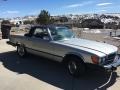 Astral Silver Metallic 1975 Mercedes-Benz SL Class 450 SL Roadster Exterior