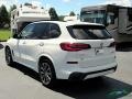 Alpine White - X5 xDrive40i Photo No. 3