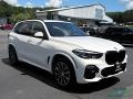 Alpine White - X5 xDrive40i Photo No. 7
