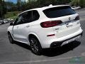 Alpine White - X5 xDrive40i Photo No. 29