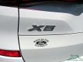 Alpine White - X5 xDrive40i Photo No. 30