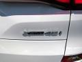 Alpine White - X5 xDrive40i Photo No. 31