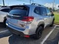 2022 Ice Silver Metallic Subaru Forester Wilderness  photo #4