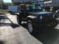 Black - Wrangler Sport 4x4 Photo No. 4