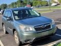 2015 Jasmine Green Metallic Subaru Forester 2.5i  photo #3