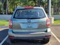 2015 Jasmine Green Metallic Subaru Forester 2.5i  photo #6