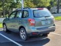 2015 Jasmine Green Metallic Subaru Forester 2.5i  photo #7