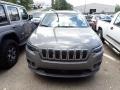 Sting-Gray - Cherokee Latitude Plus 4x4 Photo No. 2