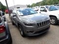 Sting-Gray - Cherokee Latitude Plus 4x4 Photo No. 3