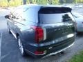 Steel Graphite - Palisade Limited AWD Photo No. 2