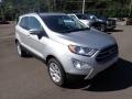 Moondust Silver Metallic - EcoSport SE 4WD Photo No. 2