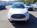 Moondust Silver Metallic - EcoSport SE 4WD Photo No. 3