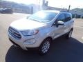 Moondust Silver Metallic - EcoSport SE 4WD Photo No. 4