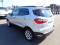 Moondust Silver Metallic - EcoSport SE 4WD Photo No. 6