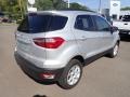 Moondust Silver Metallic - EcoSport SE 4WD Photo No. 8