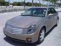 Radiant Bronze - CTS Sedan Photo No. 2