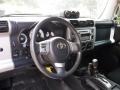 2010 Silver Fresco Metallic Toyota FJ Cruiser 4WD  photo #11
