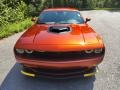 Sinamon Stick - Challenger R/T Shaker Photo No. 3