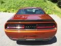 Sinamon Stick - Challenger R/T Shaker Photo No. 7