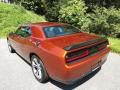 Sinamon Stick - Challenger R/T Shaker Photo No. 8