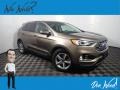 2019 Stone Gray Ford Edge SEL AWD #144813437