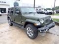 Sarge Green - Wrangler Unlimited Sahara 4x4 Photo No. 7
