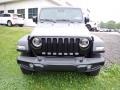 Sting-Gray - Wrangler Unlimited Willys 4x4 Photo No. 8