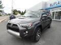 Magnetic Gray Metallic - 4Runner TRD Off-Road 4x4 Photo No. 2