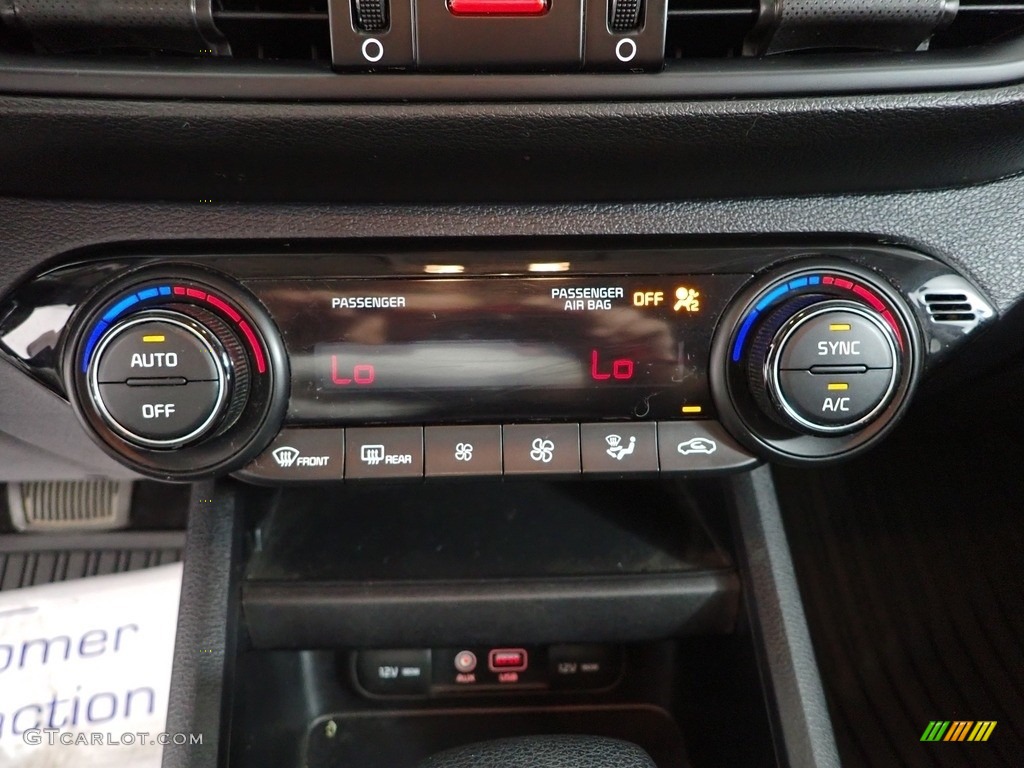 2019 Forte LXS - Gravity Grey / Black photo #19