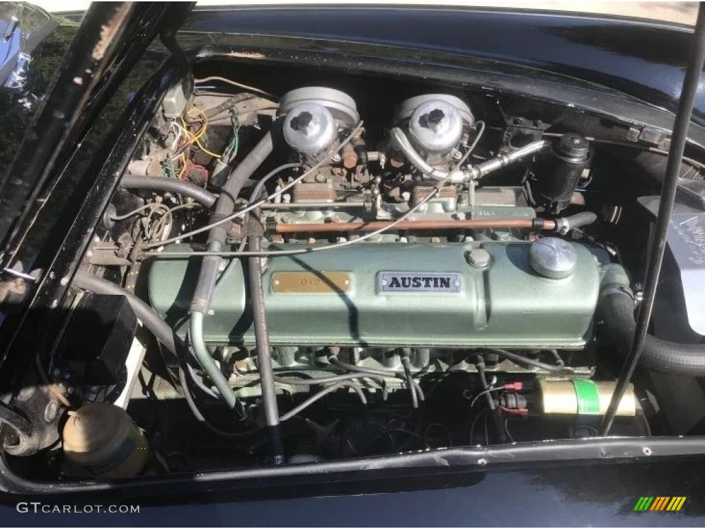 1966 Austin-Healey 3000 MK III Bj8 3.0 Liter OHV 12-Valve Inline 6 Cylinder Engine Photo #144843867