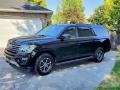 2019 Agate Black Metallic Ford Expedition XLT Max 4x4  photo #3