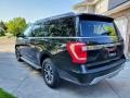 2019 Agate Black Metallic Ford Expedition XLT Max 4x4  photo #4