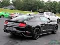 Shadow Black - Mustang EcoBoost Premium Fastback Photo No. 5