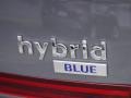 Hampton Gray - Sonata Blue Hybrid Photo No. 11