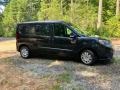 Black Metallic - ProMaster City Tradesman SLT Cargo Van Photo No. 1