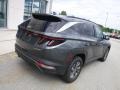 2022 Amazon Gray Hyundai Tucson Blue Hybrid AWD  photo #10