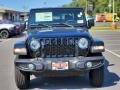 Black - Gladiator Altitude 4x4 Photo No. 2